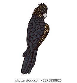 Carácter vector de color de pájaro australiano de cacatúa negra. Figura de vista posterior. Animales salvajes de cuerpo entero sobre blanco. Ilustración de estilo de dibujos animados simples