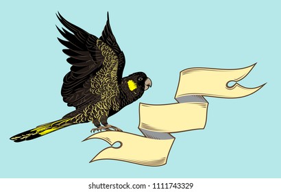 Black cockatoo with banner
