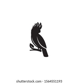 Black Cockatoo logo / icon design