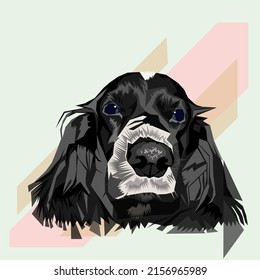 black cocker image formed with colored planes