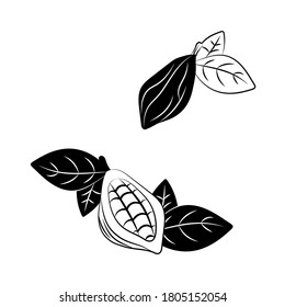 Black cocoa beans set . Vector stock illustration. Essential oil, medicine, cosmetic, chocolate ingredient