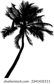 Black coconut tree set isolated on white background. coconut tree silhouettes. Design of coconut tree for posters, banners and promotional items. Vector illustration
