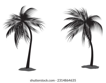 Black coconut tree silhouette graphic vector for summer,