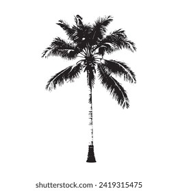 Black Coconut tree vector illustration, white background,