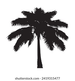 Black Coconut tree vector illustration, white background,