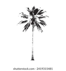 Black Coconut tree vector illustration, white background,