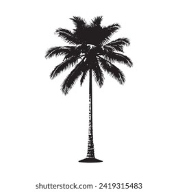 Black Coconut tree vector illustration, white background,