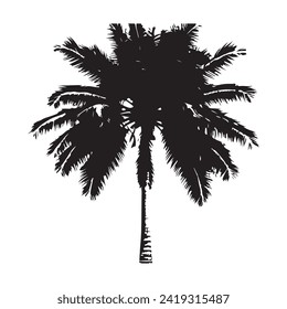 Ilustración vectorial del árbol de coco negro, fondo blanco,