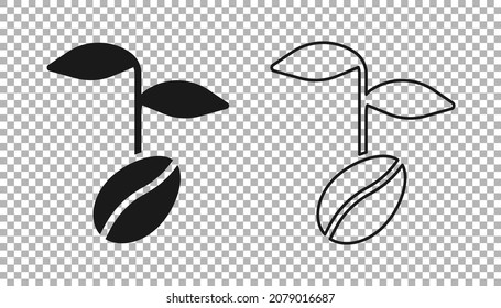 Black Coffee beans icon isolated on transparent background.  Vector