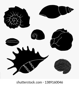 Black collection  of sea shells, vector illustration. Shells icon set/