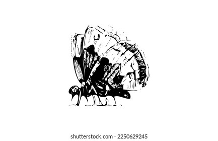 Black color Butterflies Top Shot Vector Illustration on white background