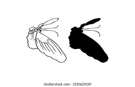 Black color Butterflies Top Shot Vector Illustration on white background