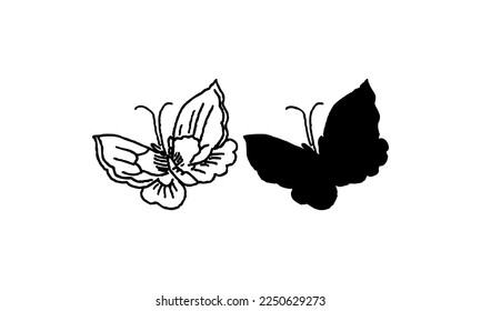 Black color Butterflies Top Shot Vector Illustration on white background