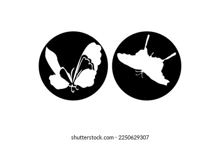 Black color Butterflies Top Shot Vector Illustration on white background