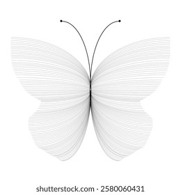 Black color butterfly with lines, creative lines butterfly, butterfly with arcs vector illustration