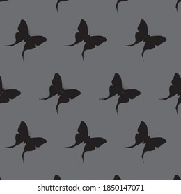 black color butterfly patterns on gray background vector