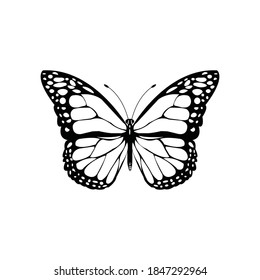 Color negro Mariposa Top Shot Vector Ilustración sobre fondo blanco