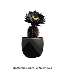 Black color Cactus flower with black porcelain tub  