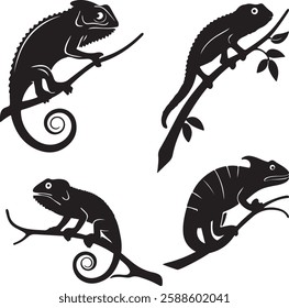 Black Color. Chameleon Outline Animal Element Cartoon