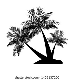black color Coconut Tree vector illustration. Silhouette of Palm Trees isolated on white background. Suitable for summer background