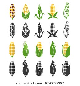 Black and color corn harvest icons isolated on white background. Vector maize silhouette, harvest plant nature illustration