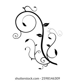 black color decoration ornament vector illustration design