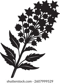 a black color flower and leaf