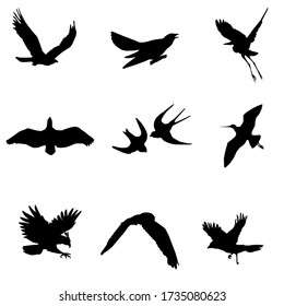 black color flying bird patterns on a white background vector