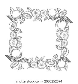 Black color linear frame from orange fruits and leaves with white color background
