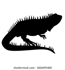 black color Lizards vector icons