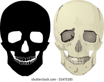 Black and color skull