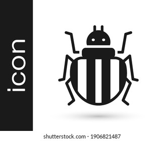 Black Colorado beetle icon isolated on white background.  Vector