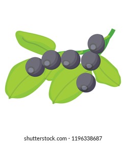 
Black colored berries bunch called chokeberries 
