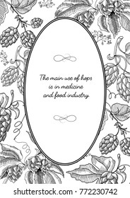 Black colored oval frame with berries, blossom and lettering that main use of hopes is in medicine and food industry and composition with hop branches hand drawn sketch vector illustration