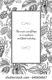 Black colored square frame with hop cartoons with berries, foliage and many decorative squiggles and inscription about main use of hopes hand drawn sketch vector illustration