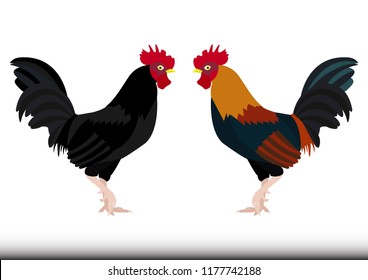 Black and colorful rooster vector