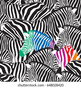 Black and colorful zebra seamless pattern.  Wild animal texture. Striped black and white. design trendy fabric texture, vector illustration.