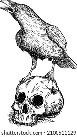 Black common raven bird on human skull, creepy Halloween magic, vector drawing or illustration.