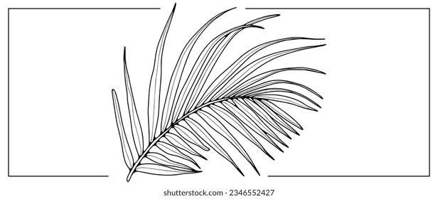 Schwarze Kontur eines verbogenen Palmenblattes auf weißem Hintergrund. Botanisches Objekt zum Färben von Büchern, Dekoration, Decken, Mustern und Designs.