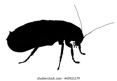 black contour cockroach.Vector illustration.