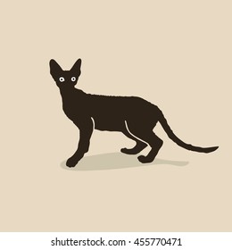 Black contour of cornish rex cat with yellow eyes standing on light brown background