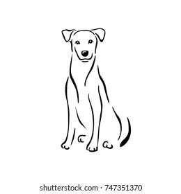 black contour of dog sitting thin line isolated on a white background vector illustration