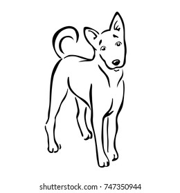 black contour of dog standing thin line vector illustration