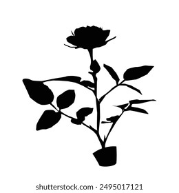 black contour drawing of a rose flower with leaves, monochrome graphics, logo