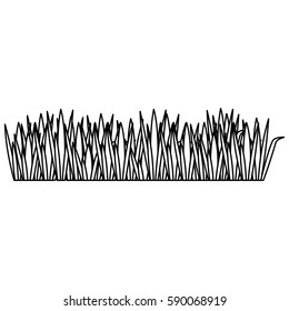 black contour of field grass vector illustration