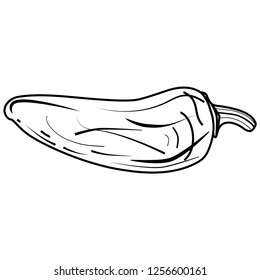 Black contour jalapeno pepper vector illustration isolated on white background. Hot mexican pepper simple silhouette for logo, poster, print. Vector icon without fill