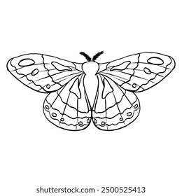 Black contour linear silhouette moth isolated on white background. Vector simple flat graphic illustration imperial night butterfly. A simple line hand drawing insect for the design