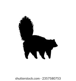 Black contour or silhouette of North American skunk animal, vector illustration isolated on white background. North American skunk contour icon for logo or print.