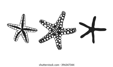 Black contour starfish illustration. Black Ink art work. Hand Drawn marine illustration. Vector nautical set. Ink drawing sea stars