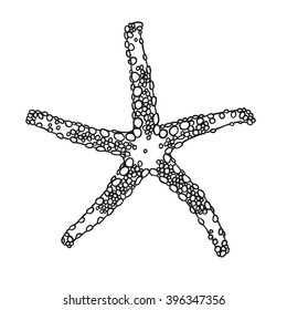 Black contour starfish illustration. Black Ink art work. Hand Drawn marine illustration. Vector nautical illustration. Ink drawing sea stars